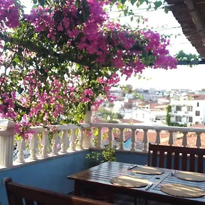  Hotel Casa Magnolia Boutique